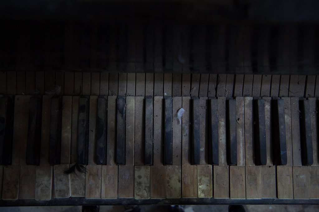w00017-2015.jpg